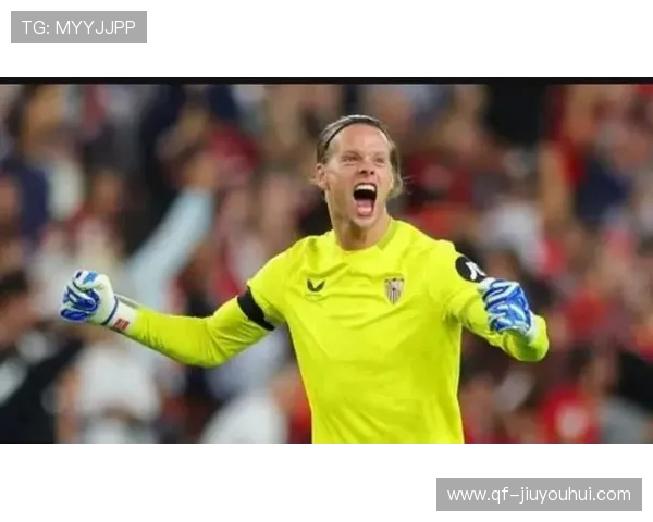 尼兰德在足球场上的综合实力分析及其对球队的贡献