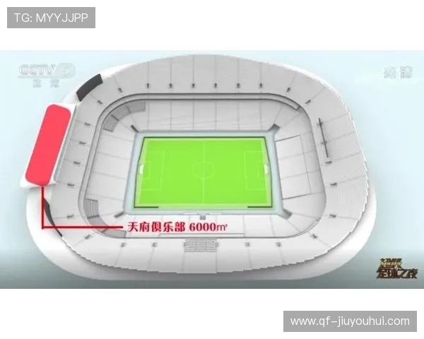 西南地区主要足球场概览及其建设与发展现状分析